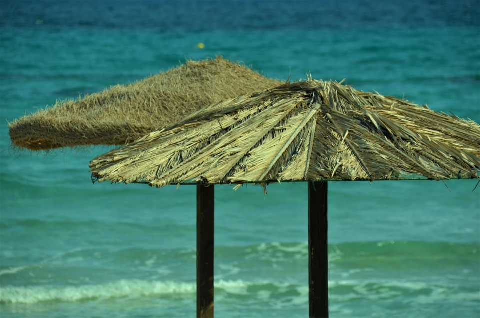 海滩边树叶杂草制作的遮阳伞