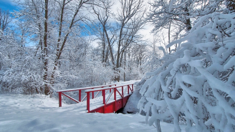 唯美冬日雪景风景高清桌面壁纸