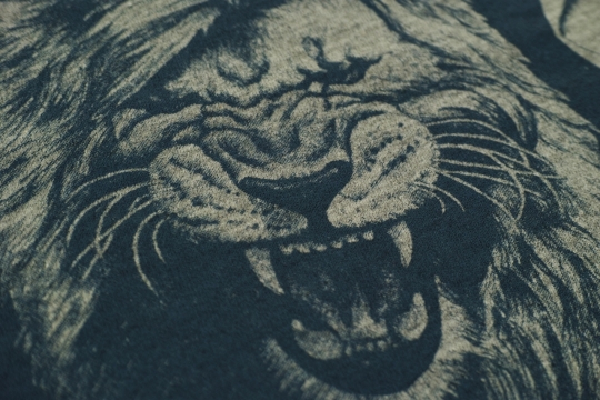 咆哮的狮子脸部黑白绘画设计