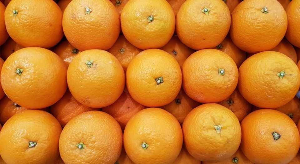 室内桌面新鲜美味健康橙色橘子水果