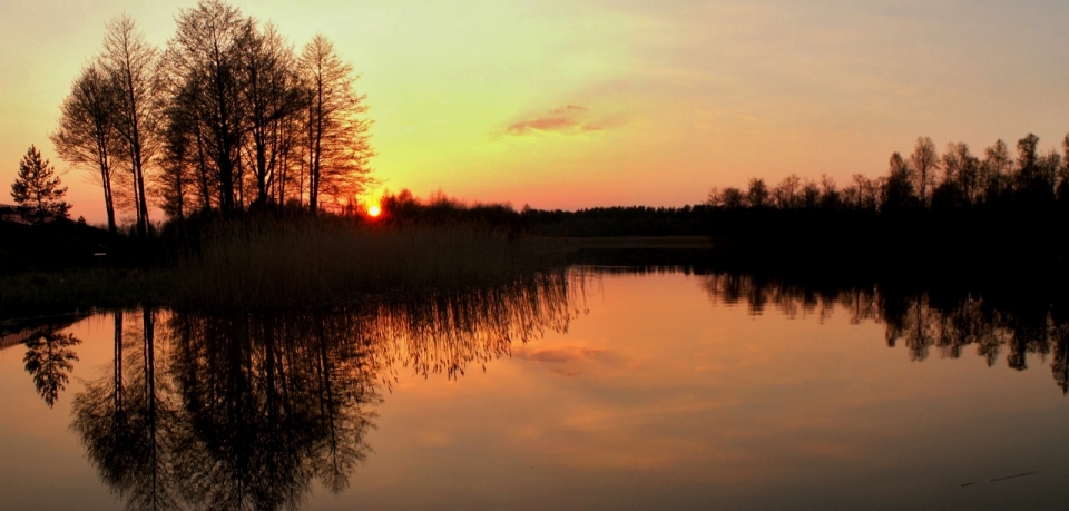 金色夕阳丛林湖泊朦胧夜景风光