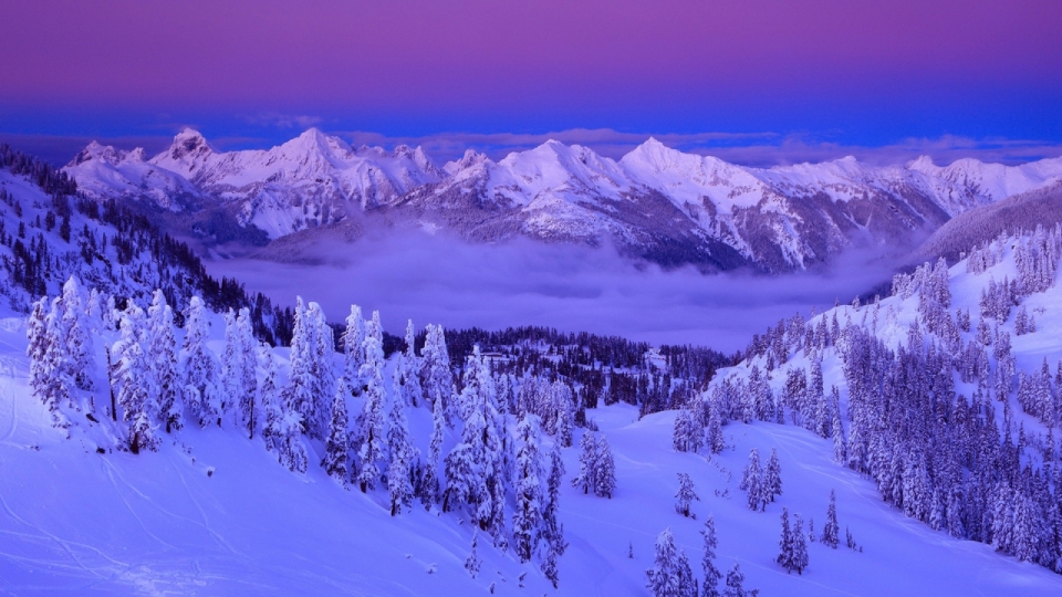 唯美冬日雪景风景高清桌面壁纸