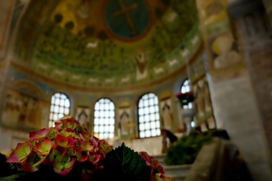 早晨豪华教堂建筑内景花朵植物