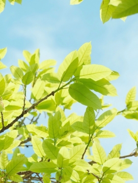 超级治愈系护眼图片