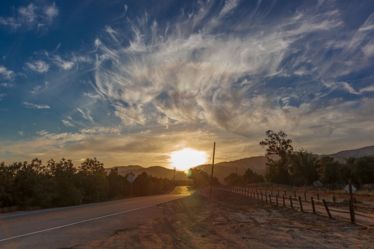 村庄外柏油公路绿植街景风光
