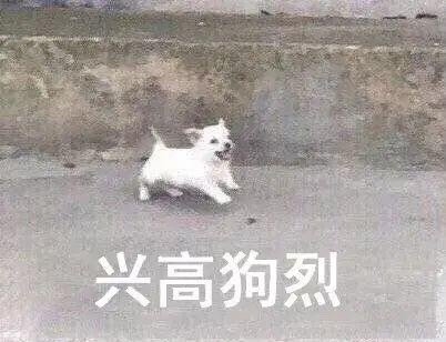 搞笑幽默表情包图片