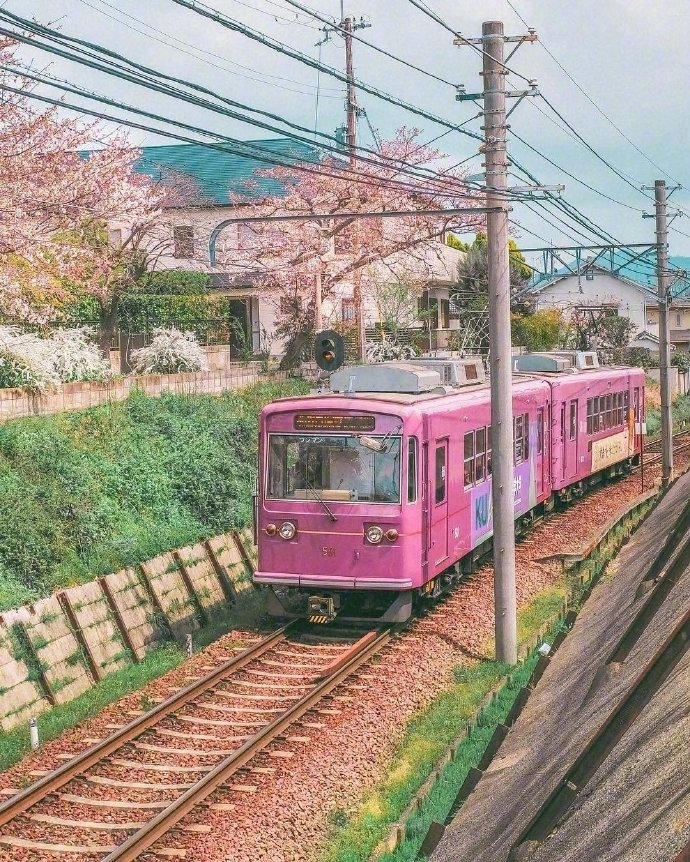 日本唯美风景图片