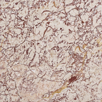 大理石特殊花纹家居少见装修