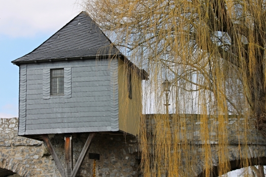 蓝色天空树木边桥梁房屋建筑