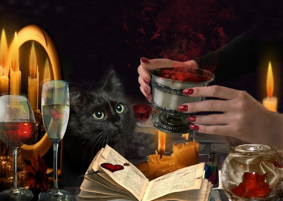 黑色背景前猫咪盯着冒红色雾气的酒杯