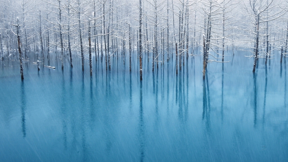 唯美冬季雪景高清桌面壁纸