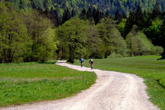 树林外白色砂石道路骑行人物外景