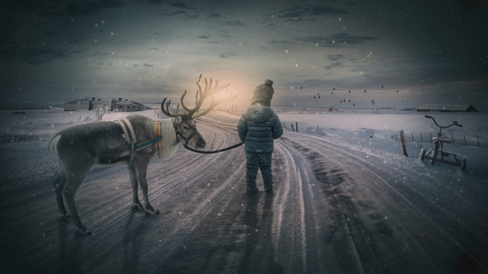 雪地马路上牵着麋鹿的孩子