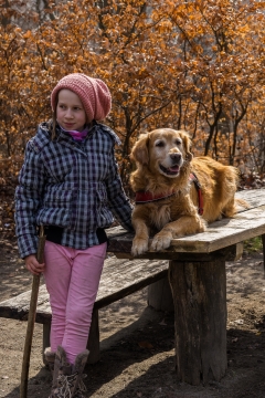 秋天自然公园宠物金毛钱可爱女孩