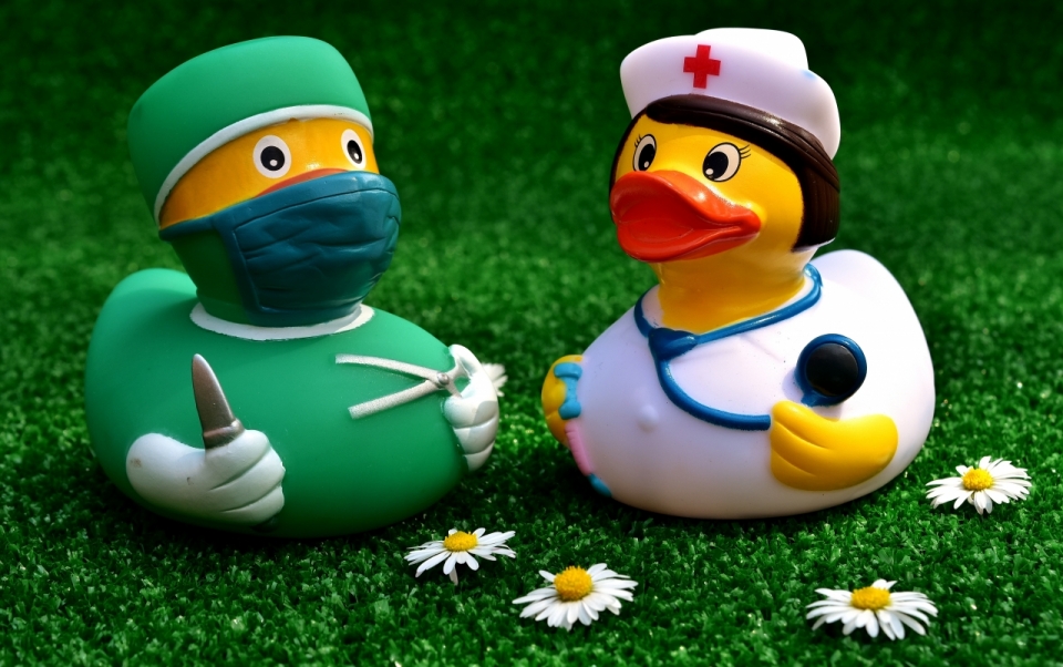 草地上穿着医生与护士的玩具鸭