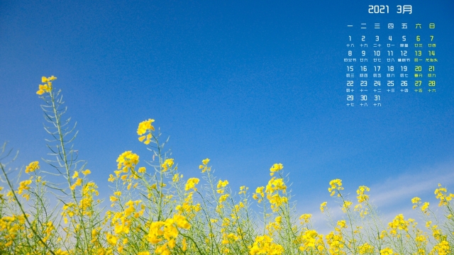 2021年3月春天的气息高清桌面日历壁纸