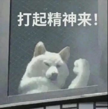 搞笑表情包图片