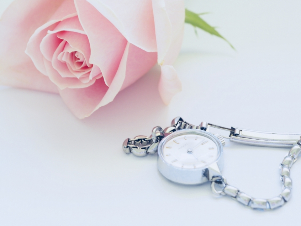 白色桌面粉色花朵玫瑰植物金属手表