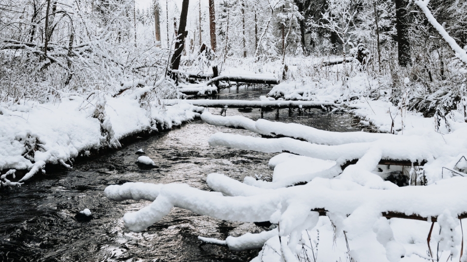 唯美冬季雪景自然风光高清桌面壁纸