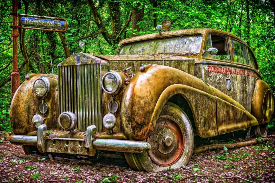 自然森林废弃破旧黄色轿车