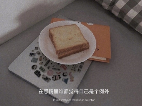 唯美情感语录写真