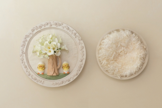 白色墙壁瓷盘摆放装饰花朵绒线静物