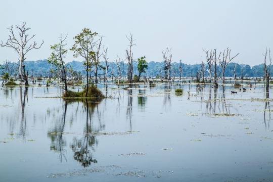 蓝色天空自然树木倒映湖泊湖面