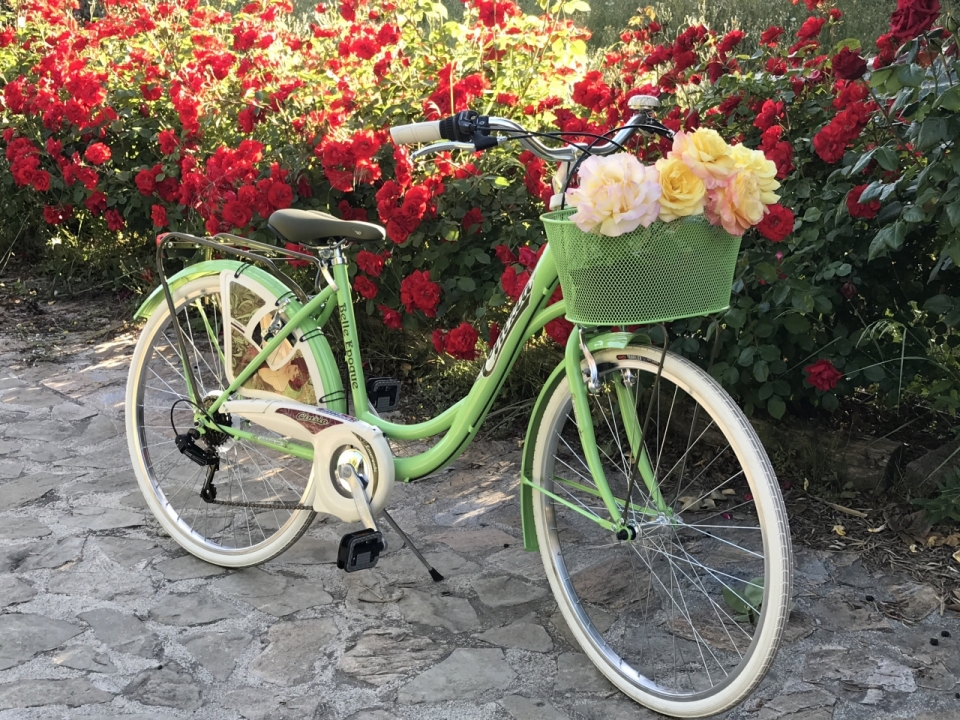 停在美丽花圃旁小路上车篮中装着鲜花的自行车