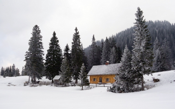 唯美冬天大雪高清桌面壁纸
