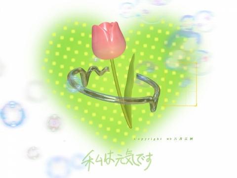 一组绿色系ipad电脑壁纸