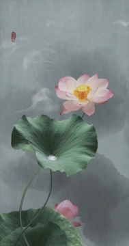 清新荷花手机壁纸