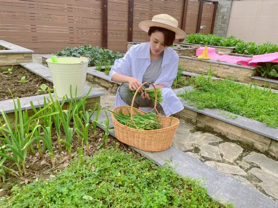 美女明星张馨予农场图片