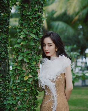 杨幂金色白纱领高开衩长裙写真图片