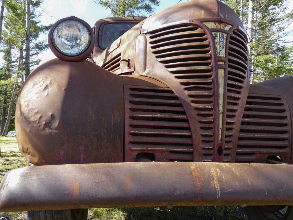 森林中的一辆老旧复古的汽车