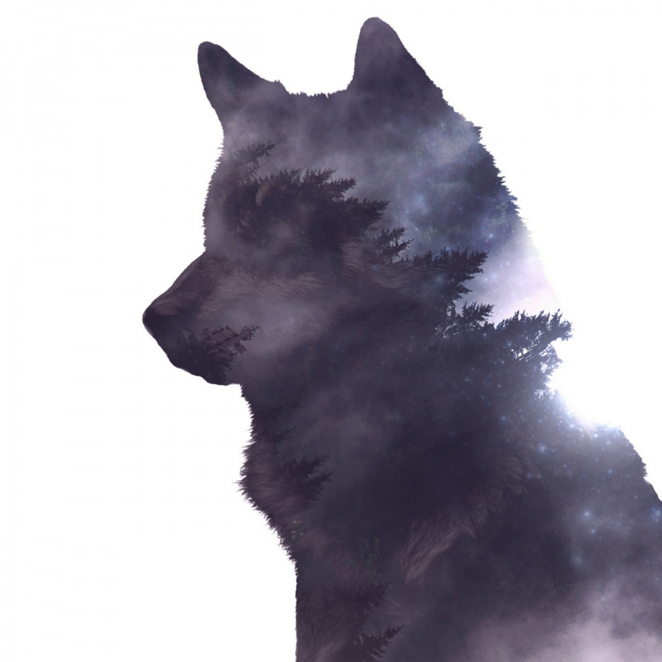 炫酷魔幻的紫晶星空树林狼创意设计