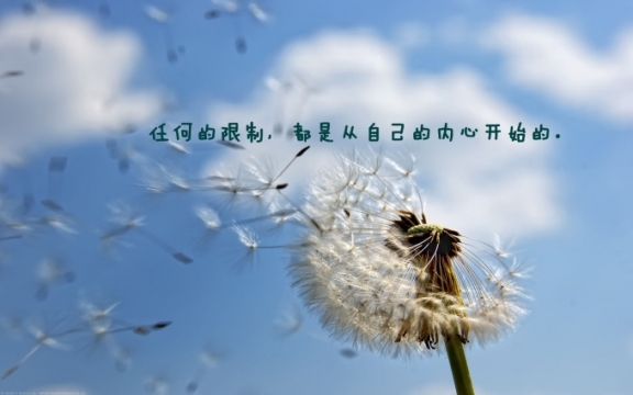 唯美努力奋斗经典语录风景桌面壁纸