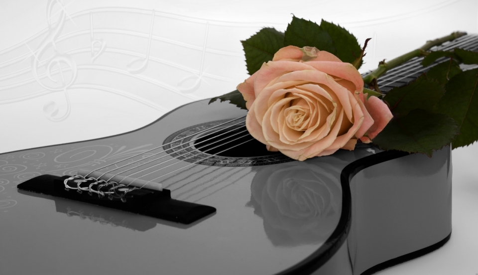唯美灰色吉他上的粉色玫瑰