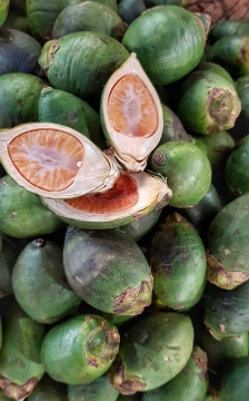 绿色表皮新鲜美味健康棕榈树果实