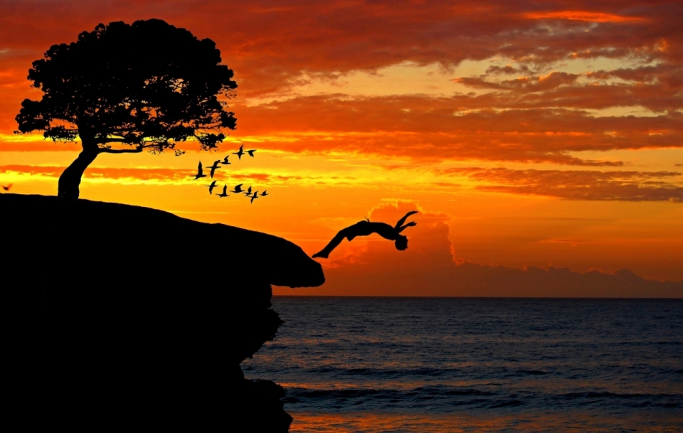夕阳下的飞鸟和大树边嗨崖上背对着大海跳水的人