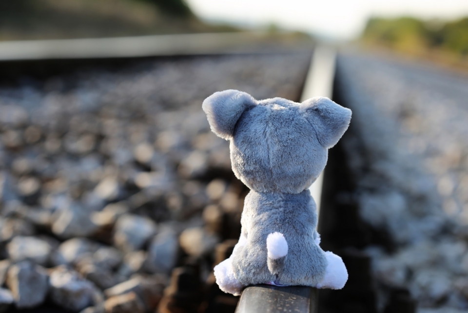 坐在铁轨上的小熊玩偶背影特写
