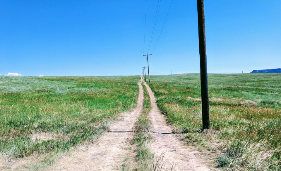 蓝天下的绿色草草原上的电线杆和小道