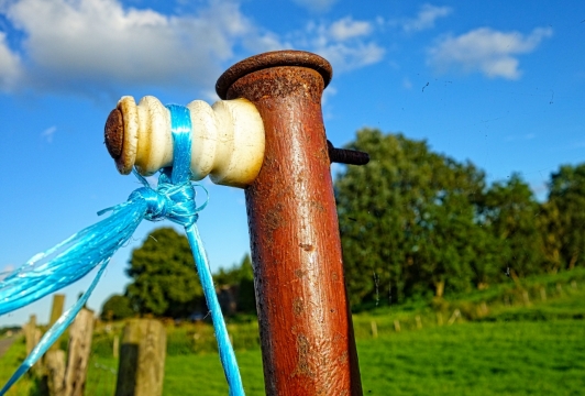 午后树林草坪变压器上蓝色绳子
