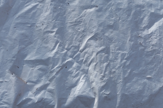 遮盖物白布白色局部