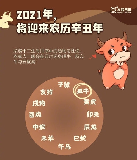 2021年农历牛年知识点图片