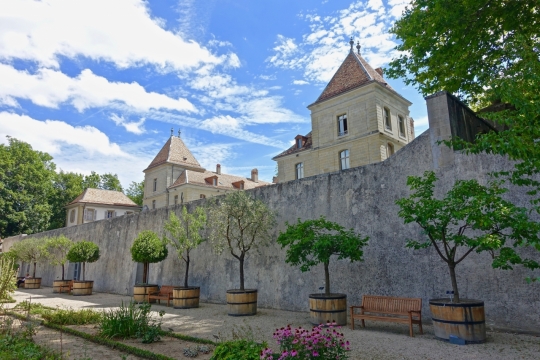 阳光蓝色天空城市街道古典建筑
