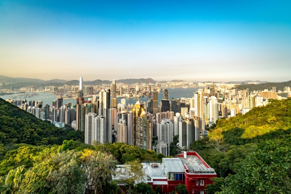 美丽香港城市林立大楼青葱树林风光