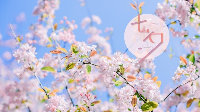 七夕情人节浪漫樱花高清桌面壁纸