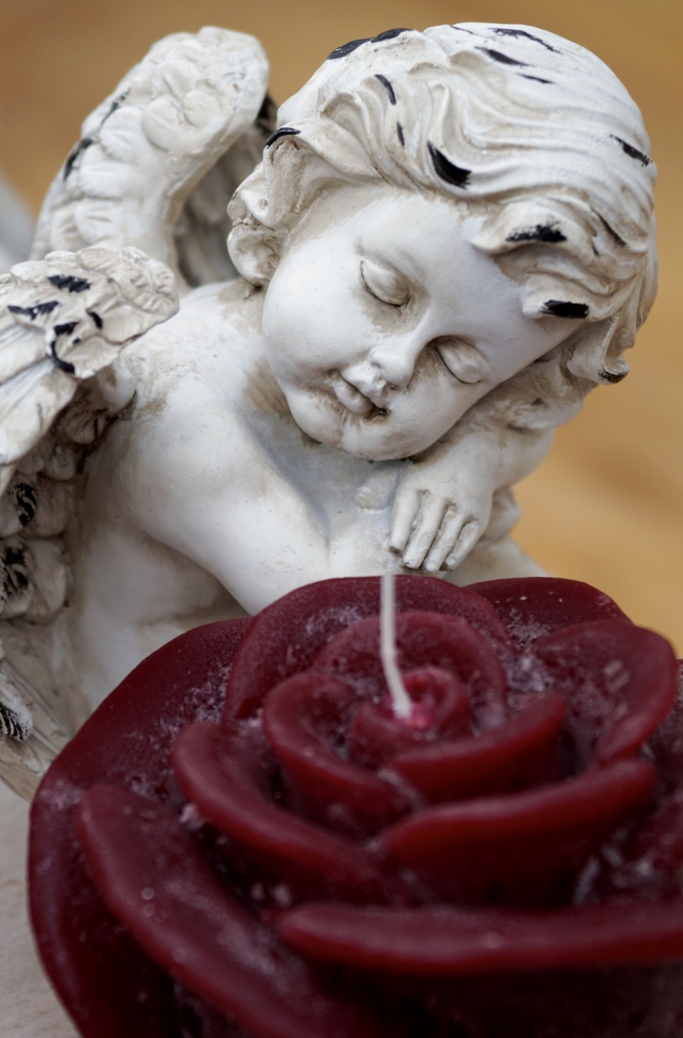 背景虚化玫瑰花旁满是污渍睡着的天使雕像
