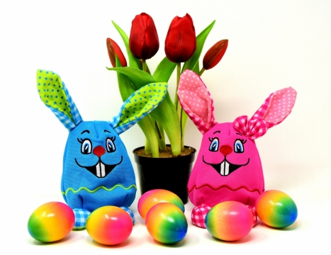白色背景盆栽兔子玩偶彩蛋装饰
