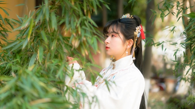 竹林古风汉服美女